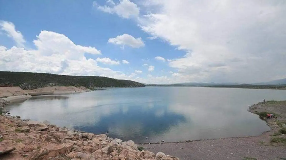 presa chihuahua (21)